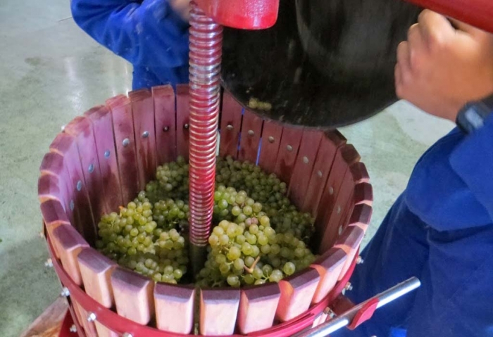 Lee más sobre el artículo Vino de Garaje